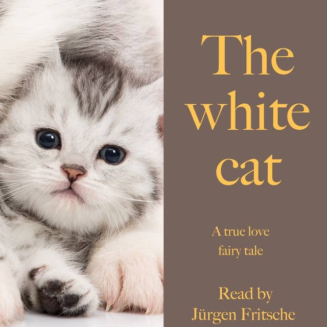 The white cat: A true love fairy tale