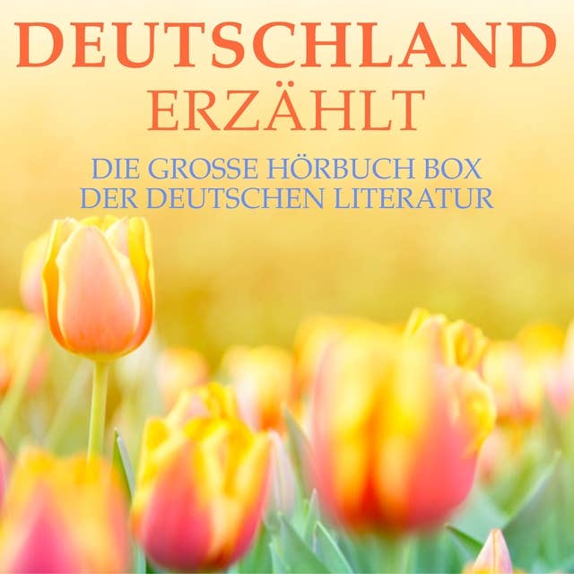 Deutschland erzählt: Die große Hörbuch Box der deutschen Literatur