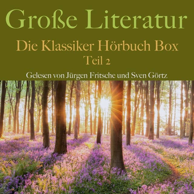 Große Literatur: Die Klassiker Hörbuch Box: Teil 2