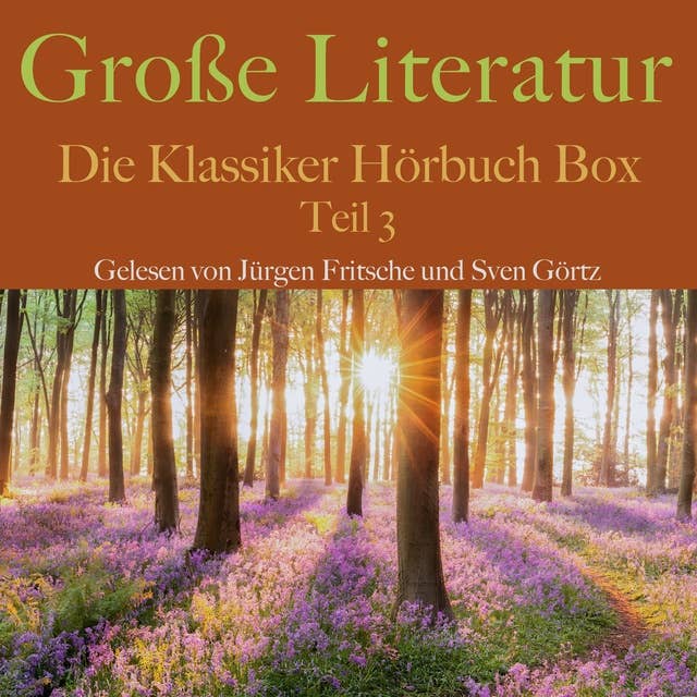 Große Literatur: Die Klassiker Hörbuch Box: Teil 3