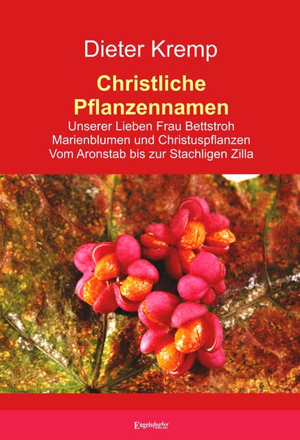Christliche Pflanzennamen: Unserer Lieben Frau Bettstroh – Marienblumen und Christuspflanzen – Vom Aronstab bis zur Stachligen Zilla