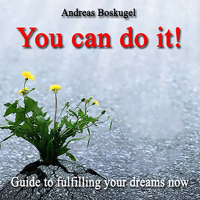 You can do it!: Guide to fullfilling your dreams now