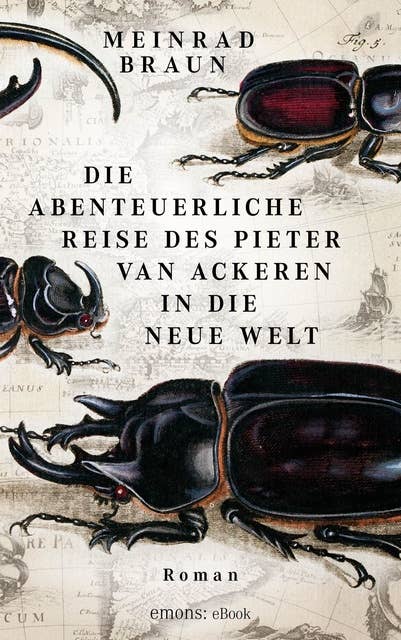 Die abenteuerliche Reise des Pieter van Ackeren in die neue Welt: Roman