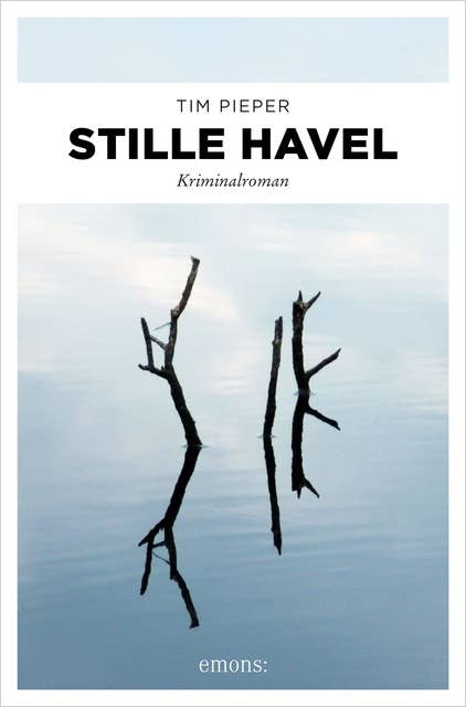 Stille Havel: Kriminalroman