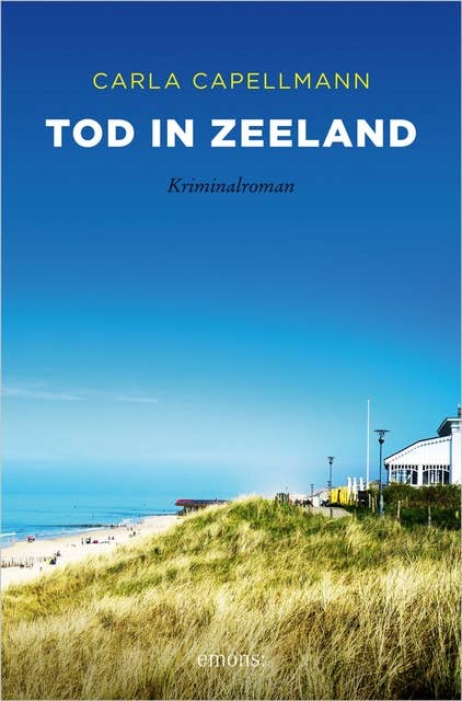Tod in Zeeland: Kriminalroman