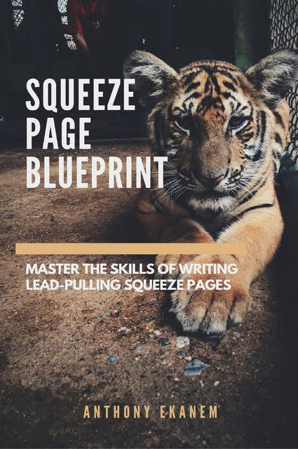 Squeeze Page Blueprint: Master the Skills of Writing Lead-Pulling Squeeze Pages: Masster the Skills of Writing Lead-Pulling Squeeze Pages
