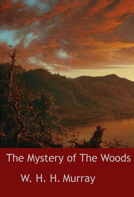 The Mystery of The Woods: novel