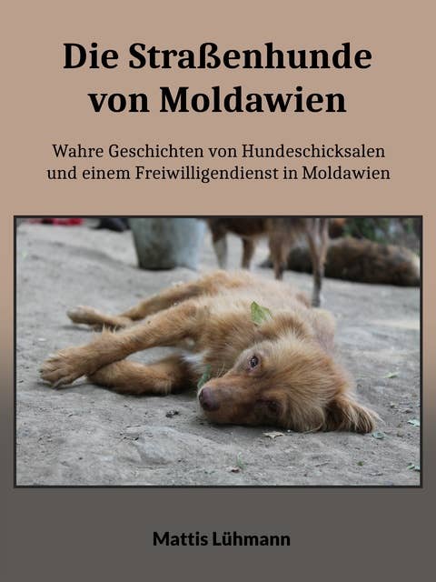 Die Straßenhunde von Moldawien: Wahre Geschichten von Hundeschicksalen und einem Freiwilligendienst in Moldawien