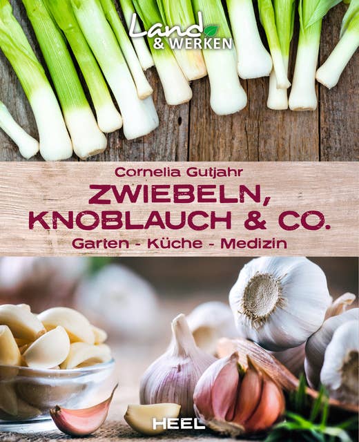 Zwiebeln, Knoblauch & Co.: Garten - Küche - Medizin