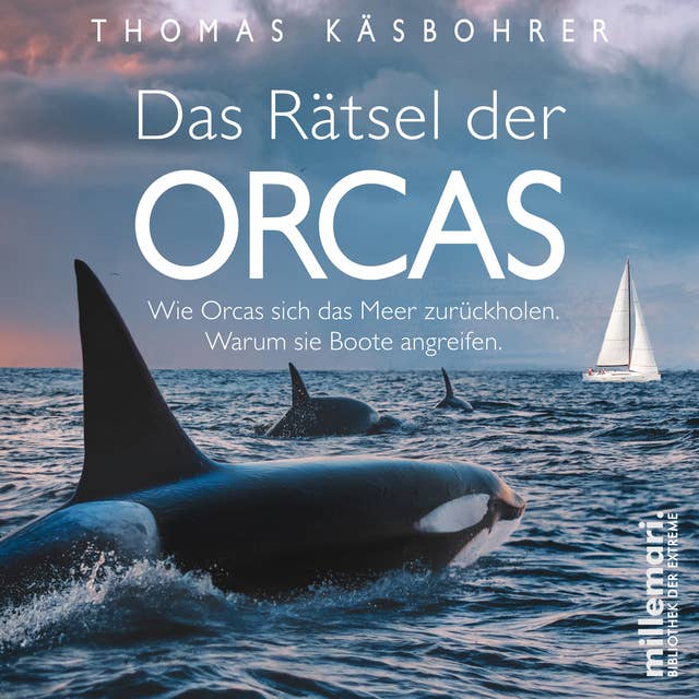 Das Rätsel der Orcas: Wie Orcas sich das Meer zurückholen. Warum sie Boote angreifen.
