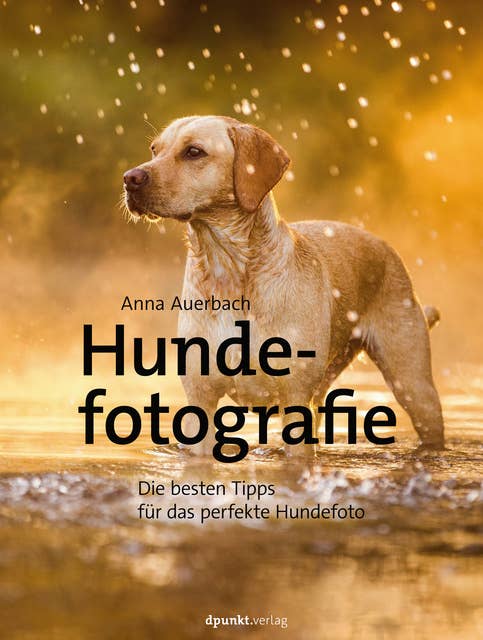 Hundefotografie: Die besten Tipps für das perfekte Hundefoto