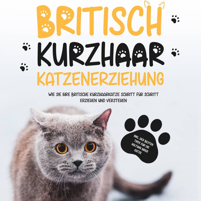 Britisch Kurzhaar Katzenerziehung: Wie Sie Ihre britische Kurzhaarkatze Schritt für Schritt erziehen und verstehen – inkl. der besten Tipps für die Haltung Ihrer Katze
