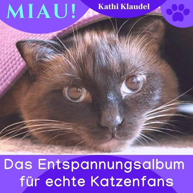 Miau!: Das Entspannungsalbum für echte Katzenfans
