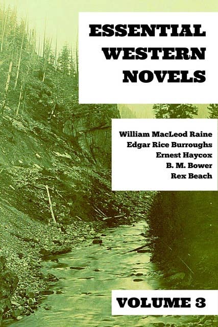 Cover for Essential Western Novels - Volume 3