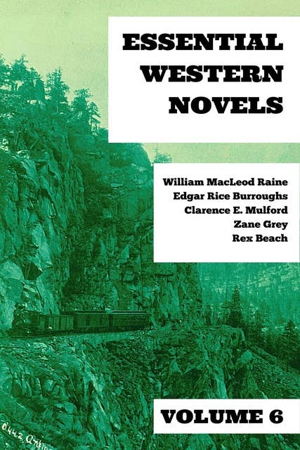 Cover for Essential Western Novels - Volume 6