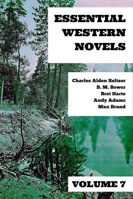 Cover for Essential Western Novels - Volume 7