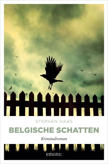 Belgische Schatten: Kriminalroman