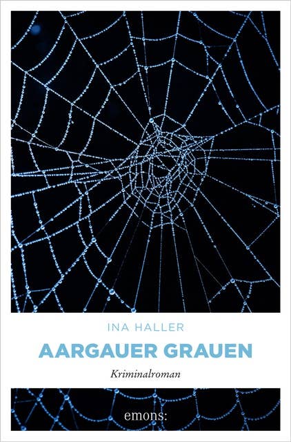 Aargauer Grauen: Kriminalroman