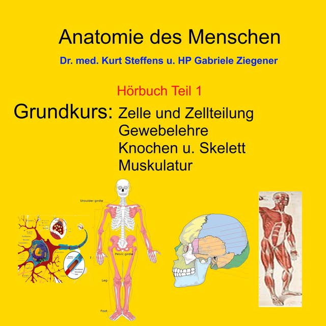 Anatomie des Menschen Teil 1: Grundkurs: Zelle und Zellteilung, Gewebelehre, Knochen und Skelett, Muskulatur