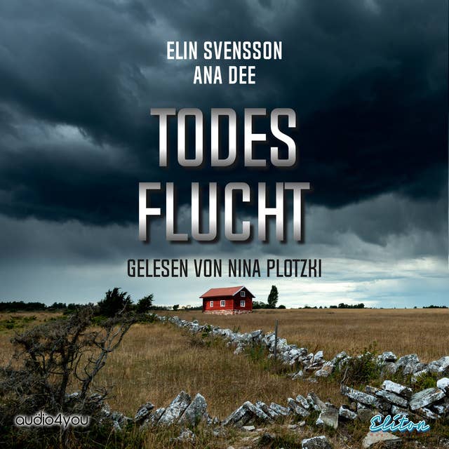 Cover for Todesflucht: Schwedenkrimi