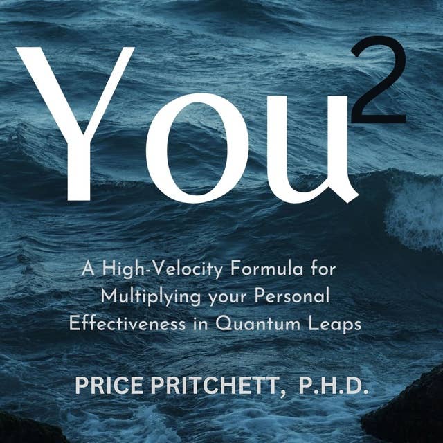 You 2: A High Velocity Formula for Multiplying Your Personal Effectiveness by Price Pritchett