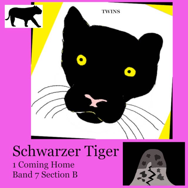 Schwarzer Tiger 1 Coming Home: Band 7 Section B