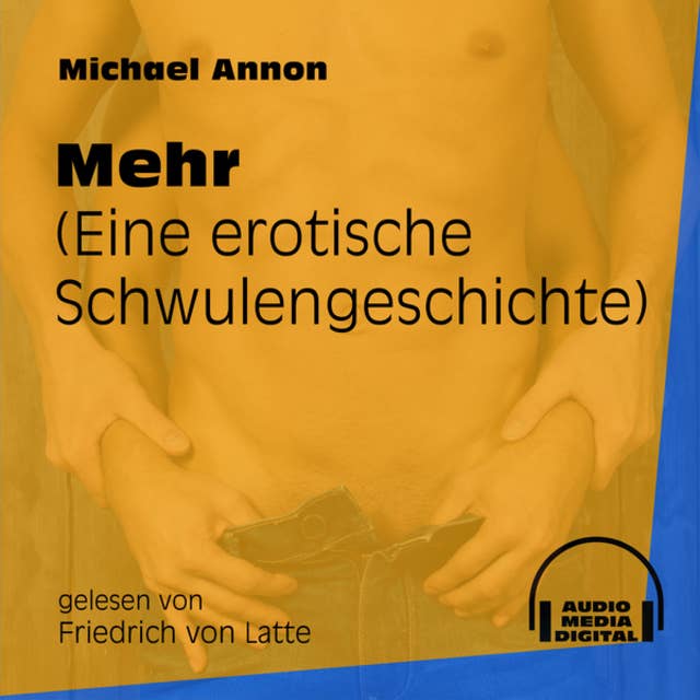 Mehr - Eine erotische Schwulengeschichte