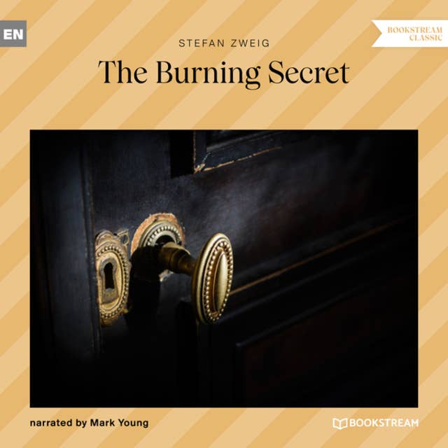 Cover for The Burning Secret