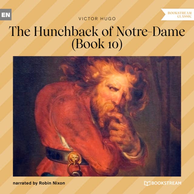 The Hunchback of Notre-Dame, Book 10