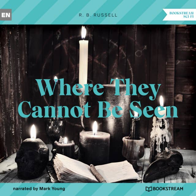 Where They Cannot Be Seen (Unabridged)