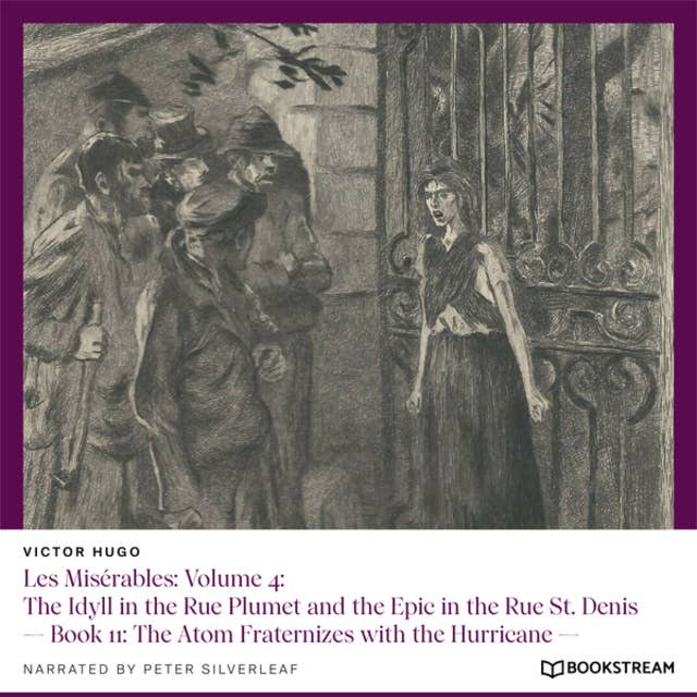 Les Misérables: Volume 4: The Idyll in the Rue Plumet and the Epic in the Rue St. Denis - Book 11: The Atom Fraternizes with the Hurricane (Unabridged)
