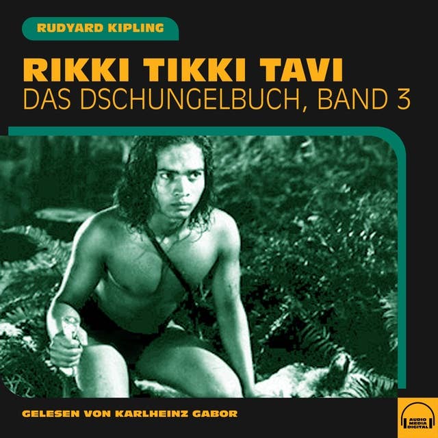Rikki Tikki Tavi: Das Dschungelbuch, Band 3