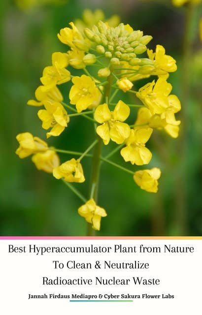 Best Hyperaccumulator Plant from Nature To Clean & Neutralize Radioactive Nuclear Waste