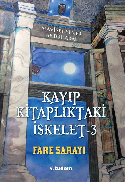 Fare Sarayı - Kayıp Kitaplıktaki İskelet 3