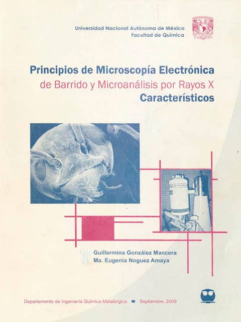 Principios de microscopía electrónica de barrido y microanálisis por rayos X característicos