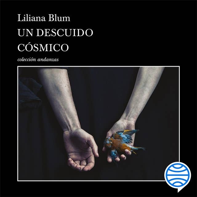 Cover for Un descuido cósmico