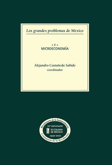 Los grandes problemas de México. Microeconomía. T-X