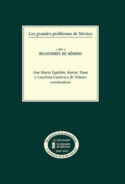 Los grandes problemas de México. Relaciones de género. T-VIII