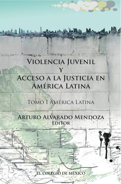 Violencia juvenil y acceso a la justicia.: Tomo I. América Latina