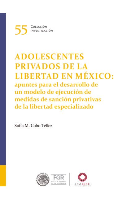 Adolescentes privados de la libertad en México:: apuntes para el desarrollo de un modelo de ejecución de medidas de sanción privativas de la libertad especializado