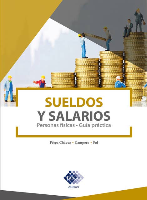 Sueldos y Salarios 2021: Persona físicas, Guía práctica