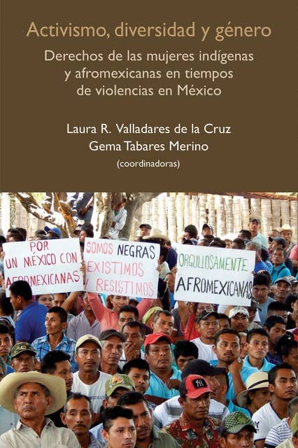 Activismo, diversidad y género: Derechos de las mujeres indígenas y afromexicanas en tiempos de violencias en México