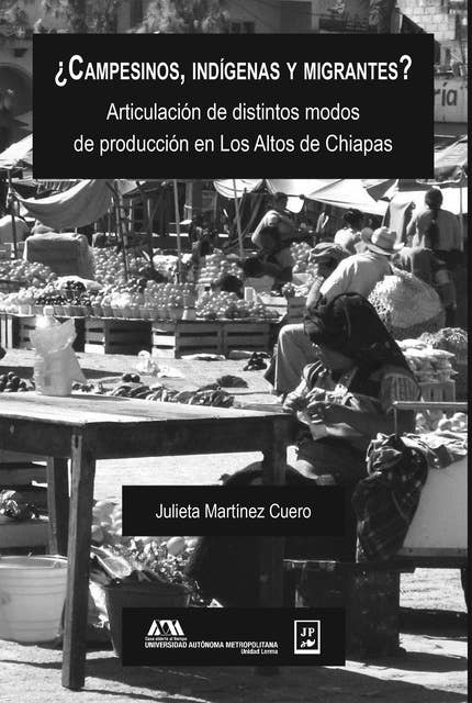 ¿Campesinos, indígenas y migrantes?: Articulación de distintos modos de producción en Los Altos de Chiapas