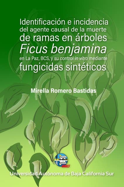 Identificación e incidencia del agente causal de la muerte de ramas en árboles: Ficus benjamina en La Paz, Baja California Sur y su control in vitro mediante fungicidas sintéticos