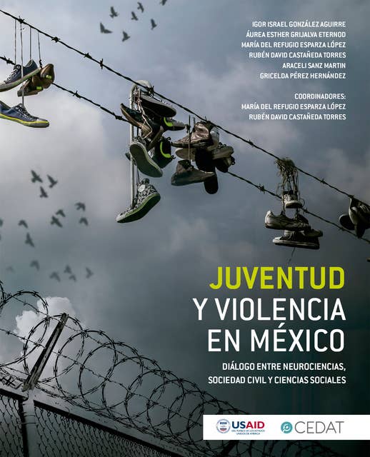Juventud y violencia en México: Diálogo entre neurociencias, sociedad civil y ciencias sociales