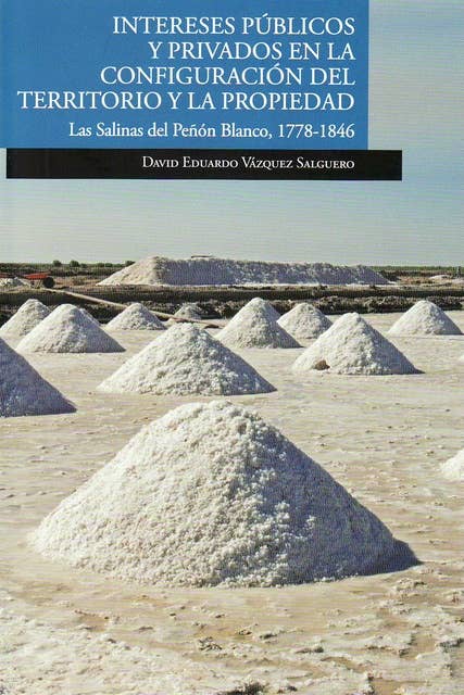 Intereses públicos y privados en la configuración del territorio y la propiedad: Las Salinas del Peñón Blanco, 1778-1846