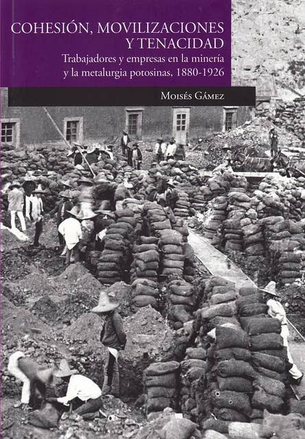Cohesión, movilizaciones y tenecidad: Trabajadores y empresas en la minería y la metalurgia potosinas, 1880-1926