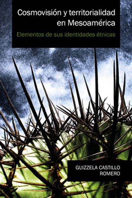 Cosmovisión y territorialidad en Mesoamérica: Elementos de sus identidades étnicas