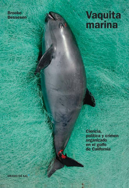 Vaquita marina: Ciencia, política y crimen organizado en el golfo de California