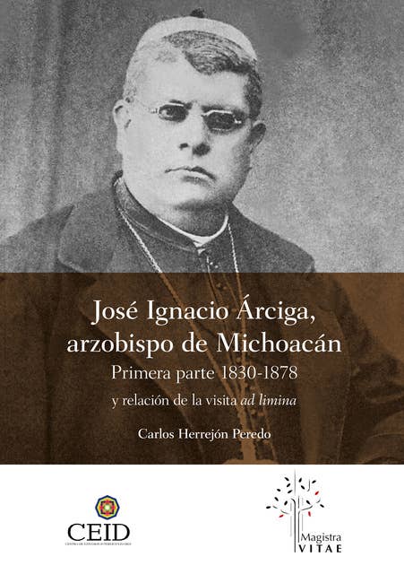 José Ignacio Árciga arzobispo de Michoacán.: Primera parte 1830-1878 y Relación de la visita ad limina